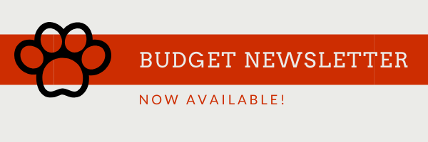 Budget Newsletter