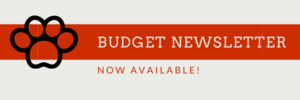 Brunswick CSD Budget Newsletter for the 2020-2021 Academic Year